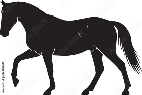 Elegant horse silhouette vector illustration for equestrian design