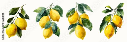 Fresh watercolor lemons painting, vibrant yellow citrus fruits hanging on green tree branches, hand drawn botanical illustration set for nature designs