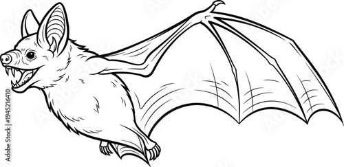 Black and white bat illustration in flight, detailed wing structure, nocturnal mammal drawing, sharp teeth, large ears, zoology educational artwork