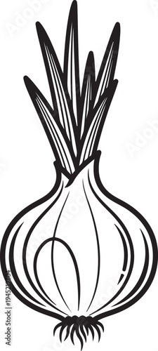 Black and white line of a single onion with green sprouts vegetable food ingredient cooking