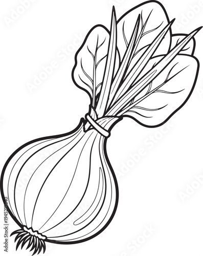 Black and white line of a whole onion with green leaves tied with a band vegetable food ingredient produce