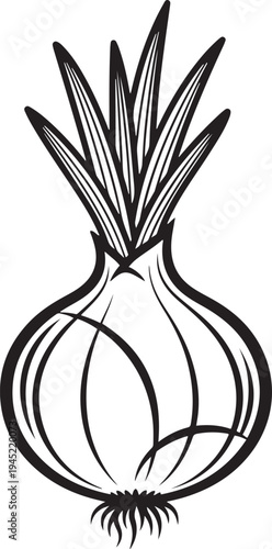 Black and white of an onion with stylized leaves vegetable food ingredient cooking