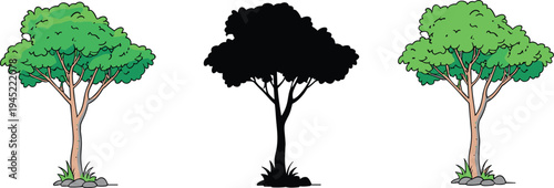 Green leafy tree illustration with silhouette version set, forest nature plant element, botanical garden tree vector isolated design