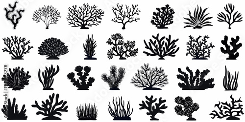 Collection of diverse black silhouette coral and seaweed illustrations
