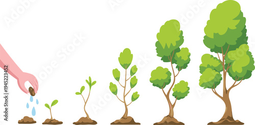 Tree planting growth stages illustration, hand watering seed to mature tree lifecycle, environmental nature conservation vector infographic conceptTree planting grept