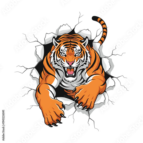 Fotografie Ferocious tiger mascot ripping through a white cracked wall effect in a vector illustration