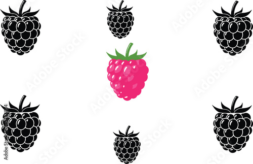  
raspberry, fruit, berry, silhouette, pink, green, leaves, fresh, healthy, food, nutrition, sweet, design, illustration, organic, raspberry fruit, berry silhouette,   
