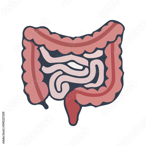 Human Digestive System Icon