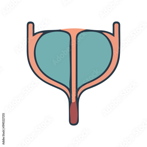 Human Bladder Icon