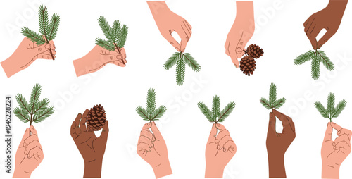 Vector collection of diverse hands holding pine branches and fir cones featuring various skin tones and evergreen needles isolated on a white background.