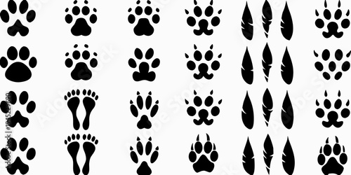 Collection of various animal footprints and paw prints in black
