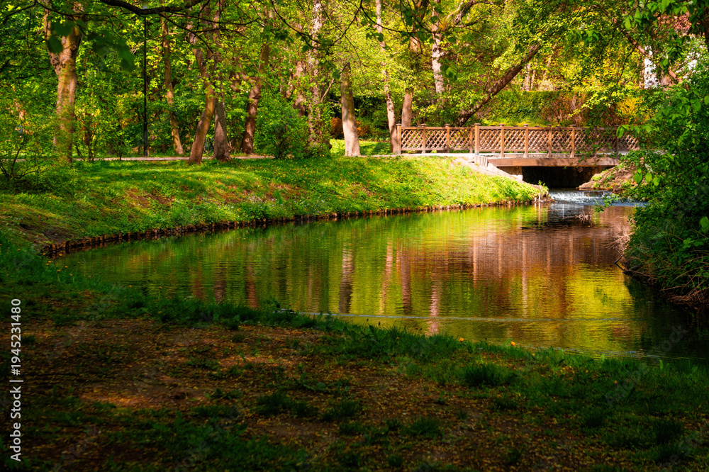 Obraz premium Beautiful calm running river and wooden bridge the spring park