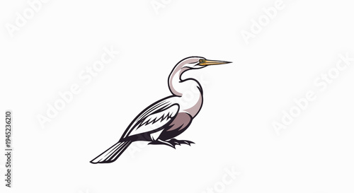 Elegant bird with sleek neck and sharp beak stands alert