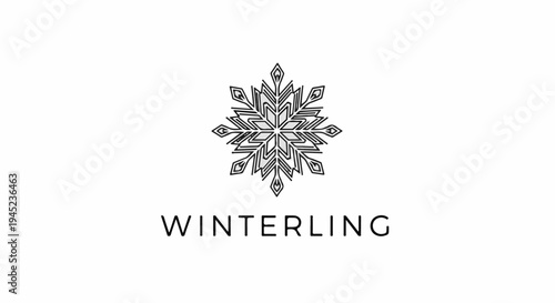 Elegant snowflake graphic above clean, sans-serif text