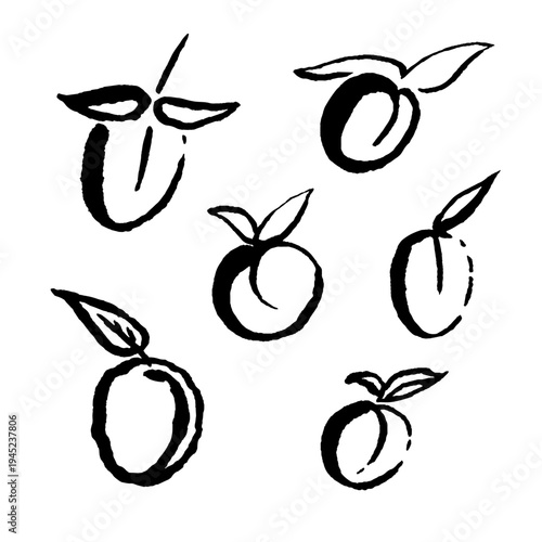 Set of minimalist sketches of plums or ume fruits with leaves in traditional Asian brush style. Ink black hand drawn line illustration on white background.