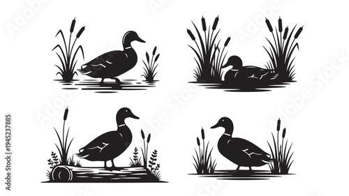 Set of 4 black duck icons vector, silhouette, with plants and water