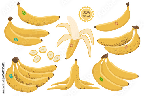 Banana fruit set, one banana, two bananas, many bananas, banana peel, cartoon vector. Organic tropical bunch of banana fruits. Isolated color illustration of ripe bananas with sticker
