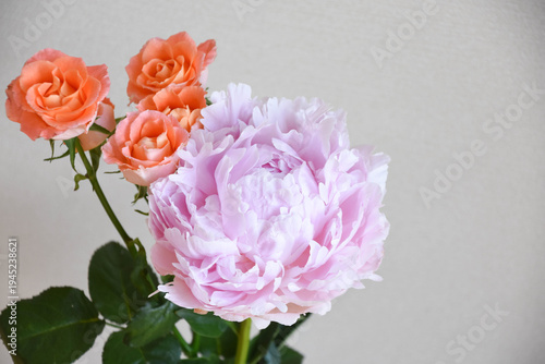 薔薇と芍薬