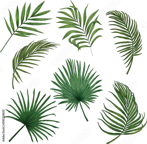 palm tree leaves