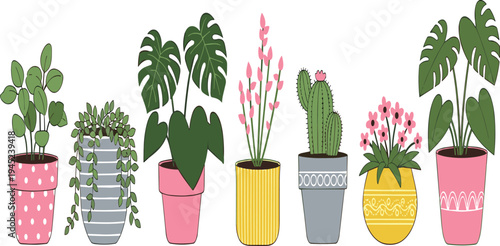 Houseplant Vector Set Featuring Monstera, Cactus and Decorative Indoor Plants in Colorful Flower Pots for Home Decor Design