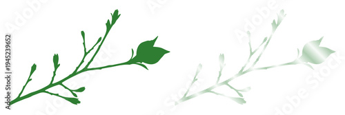 Vibrant green plant silhouette contrasted with a delicate pale outline