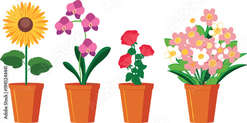 Vector illustration of four decorative potted flowering plants including sunflower, orchid, rose, and mixed blossoms, symbolizing gardening, botanical artwork, home  