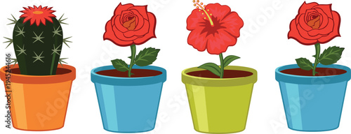 Vector illustration of four decorative potted plants including cactus, roses, and hibiscus flowers in colorful containers, symbolizing gardening, floral artwork, home decor, and botanical design