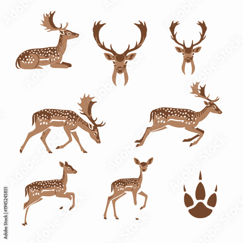 Cute Fallow Deer Icon Set with Various Poses, Heads, and Hoof Print Illustrations on White Background