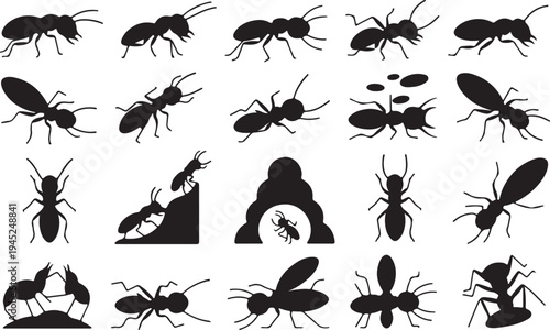 Collection of various ant silhouettes and icons isolated on transparent background