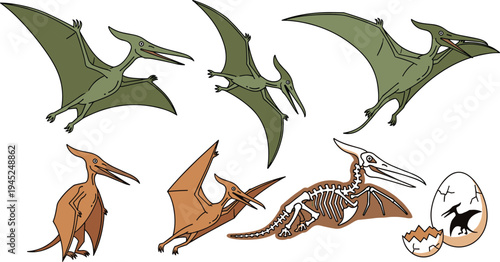 Pterodactyl Pterosaur Dinosaur Vector Set with Flying Pteranodon Skeleton Fossil Egg and Prehistoric Reptile Illustration Collection Isolated on White Background