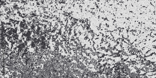Organic Abstract Texture with Irregular Dark Speckled Shapes on a Grayscale Background Mimicking Biological or Geological Patterns