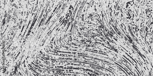 Abstract grayscale swirling organic lines with a textured grainy surface creating a dynamic flow or fingerprint-like pattern background