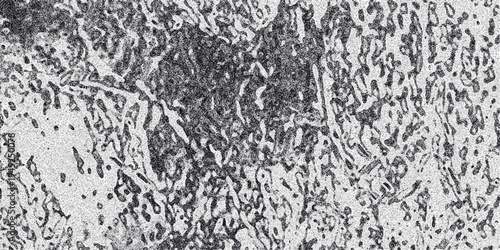 Abstract monochrome background with intricate organic network of wavy lines and speckled texture evoking a biological or cellular structure