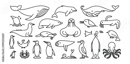 Set of cute outline drawings depicting various Antarctic and marine mammals birds and creatures