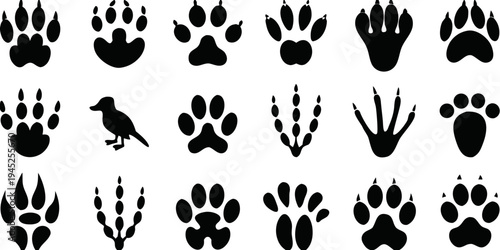 Various animal footprints and a bird silhouette on a white background