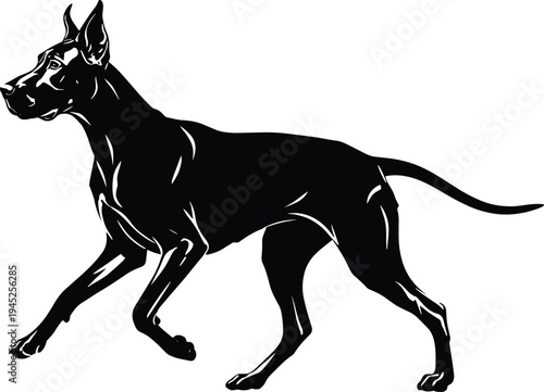 Black Great Dane Silhouette Illustration of a Large Pedigree Dog Running Isolated on White Background for Kennel Club Logo or Pet Graphic Design
