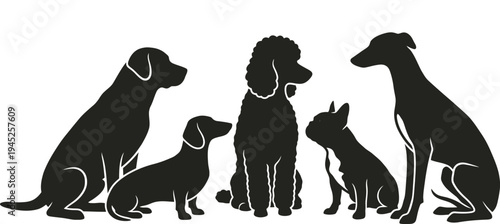 Dog Silhouettes Set Labrador, Dachshund, Poodle, French Bulldog and Greyhound Sitting Vector Illustration