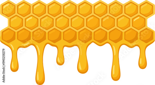 Honey Dripping Border