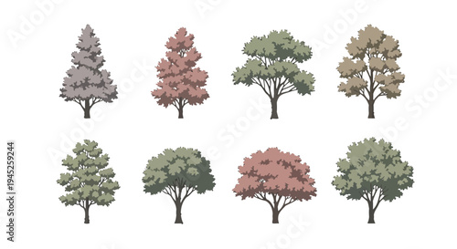 Stylized Vector Tree Illustrations Collection Diverse Deciduous and Coniferous Species