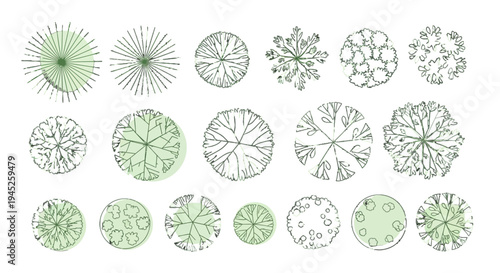 CAD project trees in top view, editable vector on white background, landscape design and architectural project, elements for environment and garden.
