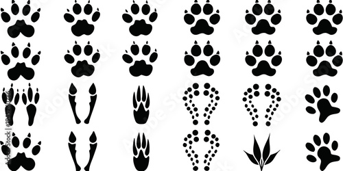 A collection of various animal footprints and paw prints in black