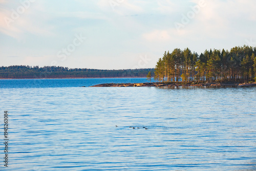 Foto Onega Lake shore. Karelian landscape. Russia