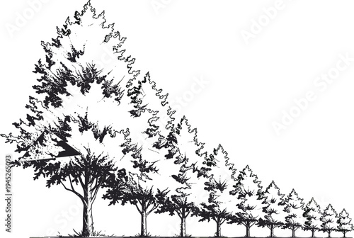 A series of black and white trees decreasing in size from left to right in a linear perspective line perspective