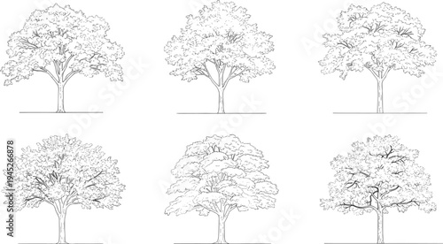 Six black and white line of different trees with varying branch and leaf patterns line black and white