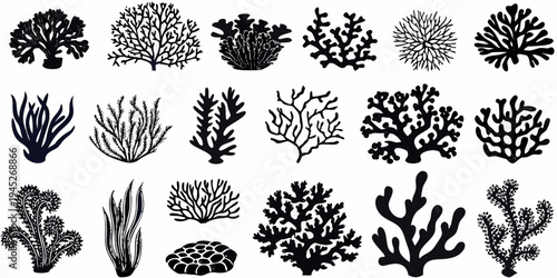 Variety of black and blue coral illustrations in different shapes and sizes