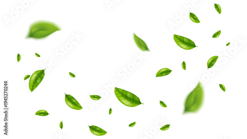 green leaf flying vector background