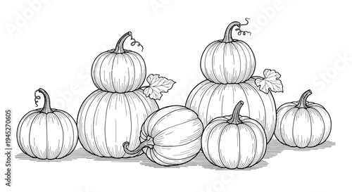 A detailed black and white line art illustration featuring a collection of pumpkins of various sizes and shapes, some stacked, others single, with small vines and leaves.