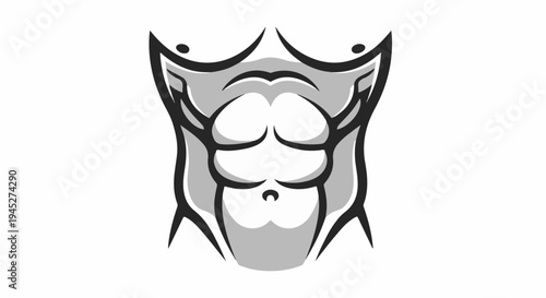 Stylized illustration of a muscular torso with defined abs