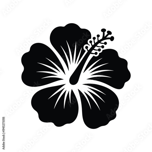 Obraz na płótnie A striking black and white illustration of a single hibiscus flower