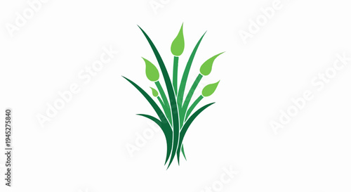 Stylized green shoots and buds on a white background